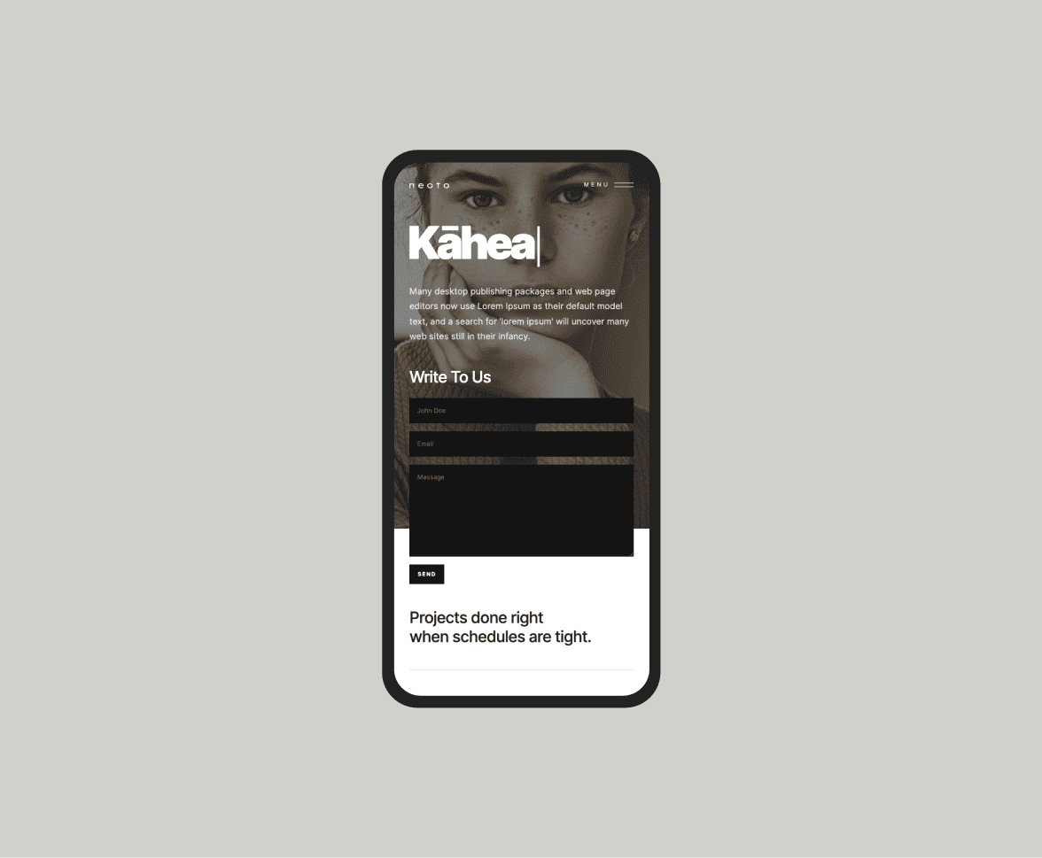 Neoto Website Template - Freelance UX/UI Designer Amsterdam