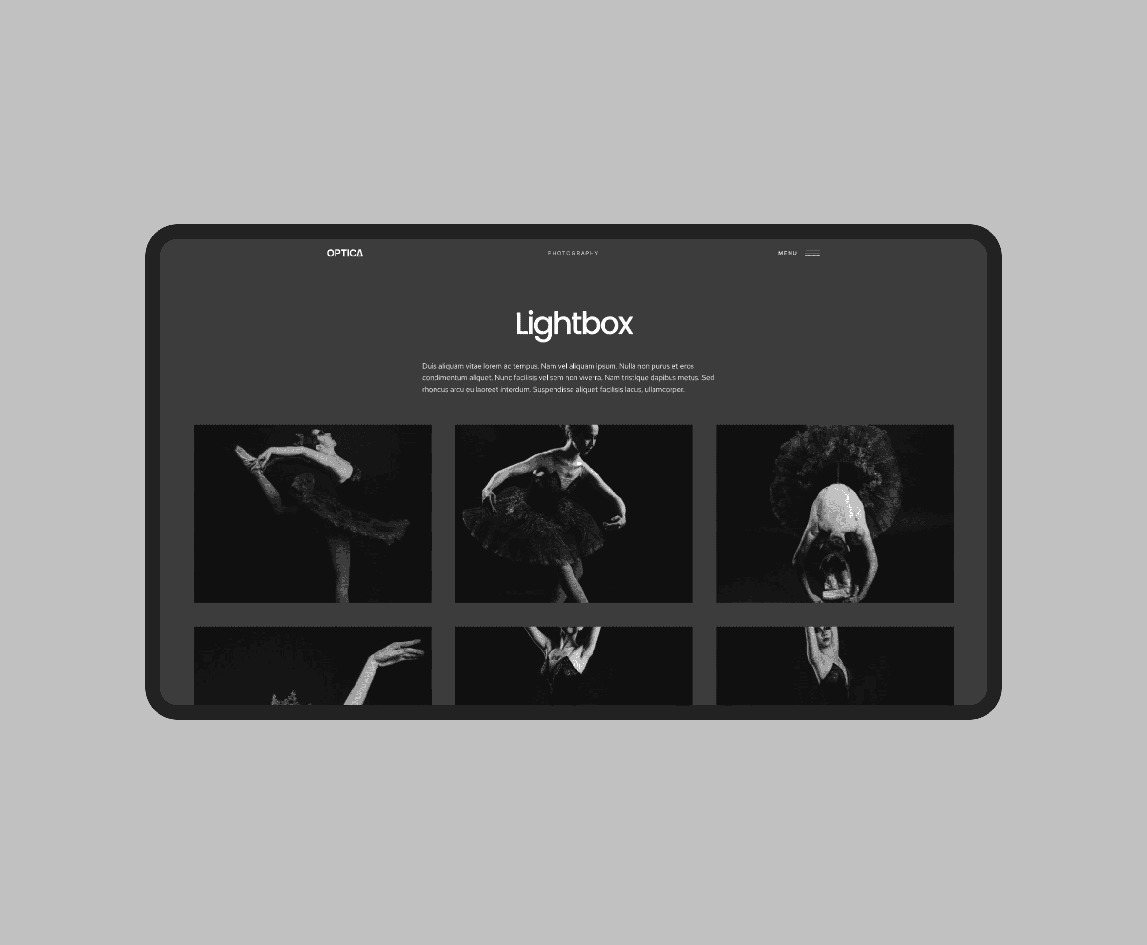 Optica WordPress Theme - Freelance UX/UI Designer Amsterdam